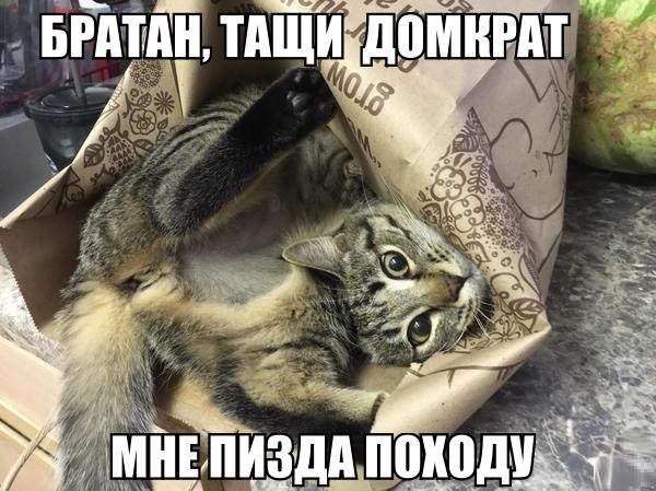 Всякое разное из сети