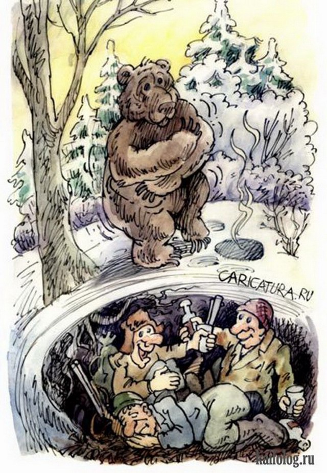 Истинная правда про медведей