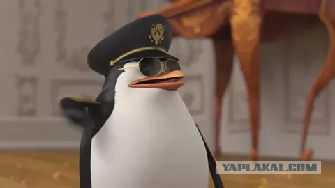 Хоккей. Межсезонье