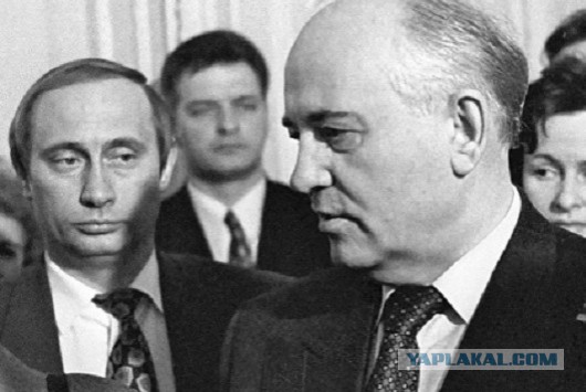 Вова и Дональд. Первая встреча