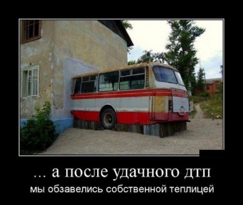 100 картинок для поднятия настроения!