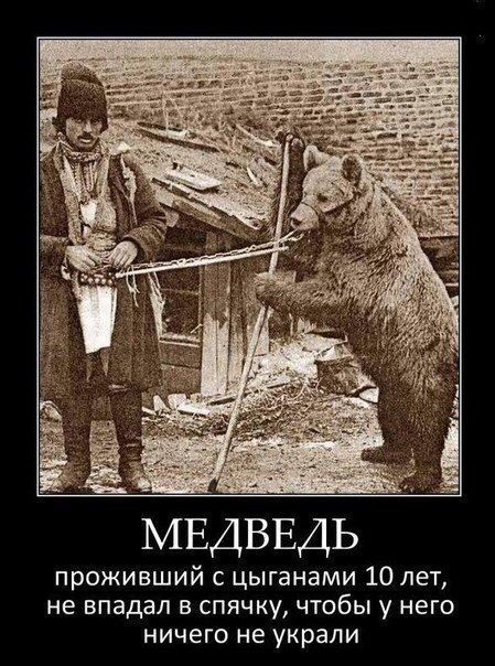 100 картинок для поднятия настроения!