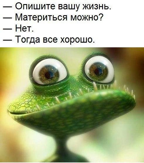 Опиши свою жизнь