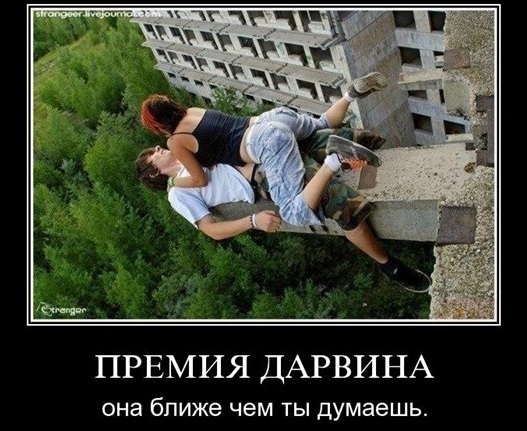 Из анналов “премии Дарвина”