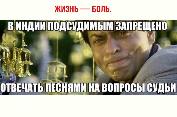 Подборка приколов на любой вкус!