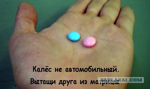 Спаси друга!