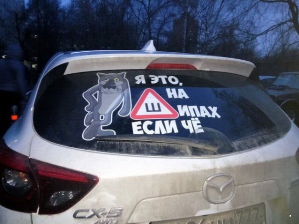 Смешные картинки с подписями