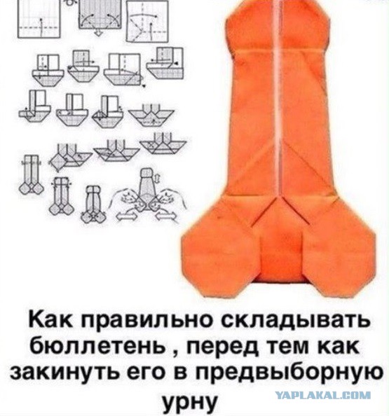 Видеотрансляция выборов 2018