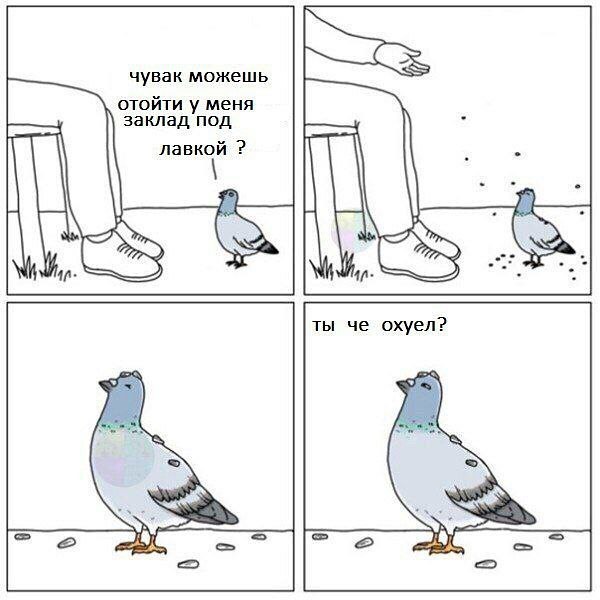 Сидите тут, развиваетесь... А деградировать кто будет?!