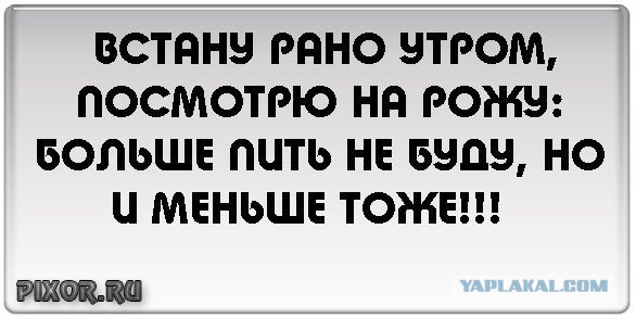 Три бутылки пива