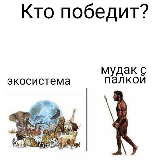 Нестандартный юмор