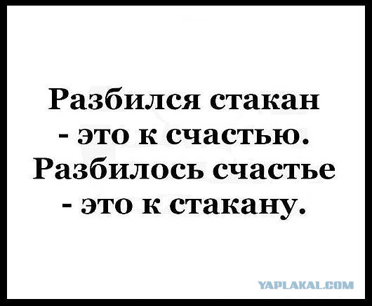 Весёлые картинки