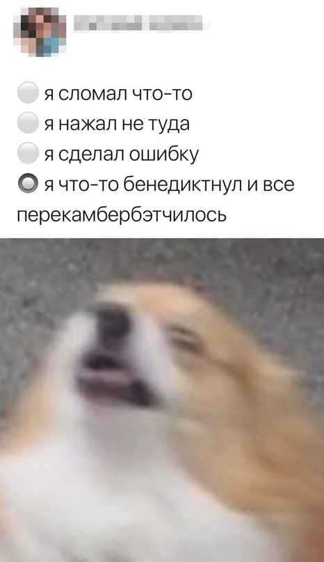 Немного картинок для настроения