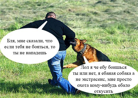 Плоский штопор деградации