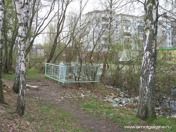 Киркоров устроил скандал на похоронах Началовой