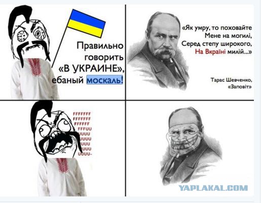 На Украине или в Украине...