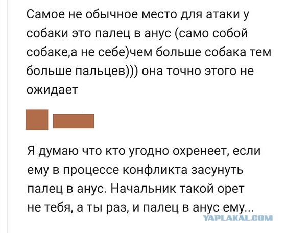 Прикольные комментарии и высказывания из Сети