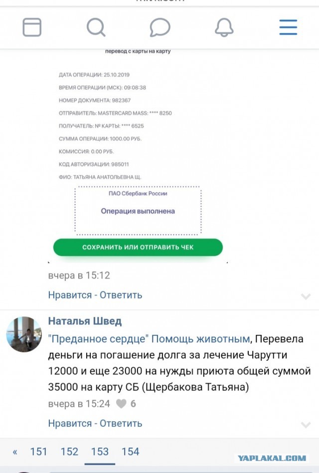 Помогите вернуть кота! Приют "Преданное сердце" украл кота и не отдает!-2