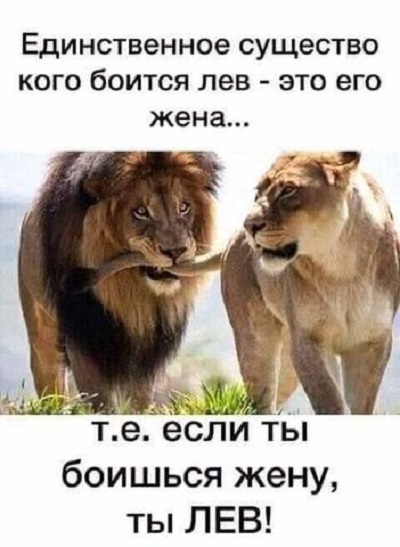 Бредзона 18.03.2020