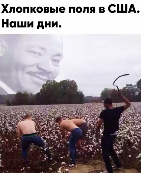 Немного картинок для настроения 01.06.20