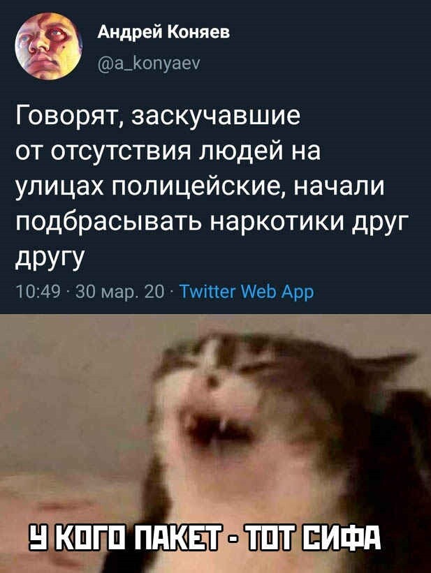 Немного картинок с надписями  для настроения 55