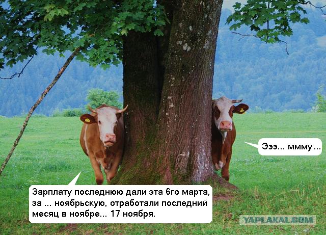 Как ты думаешь, измена скора отпустит?