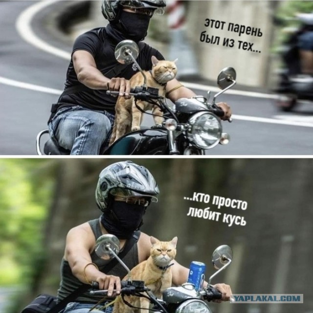 Так себе картинки 22.06.20