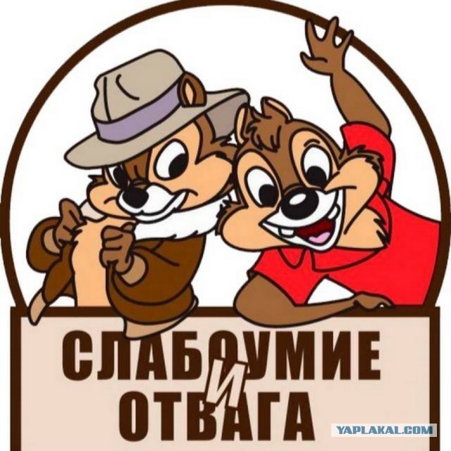 При буксировке автобуса погибли три мотоциклиста