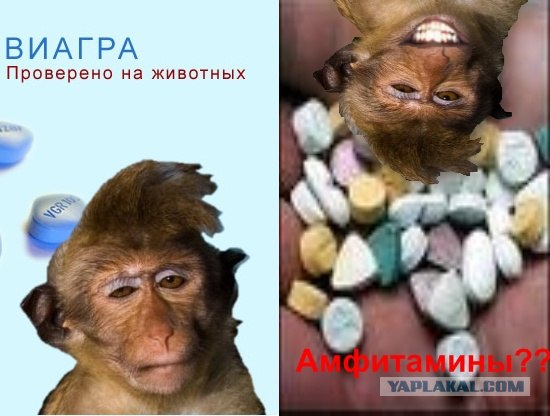 Проспал экзамен!