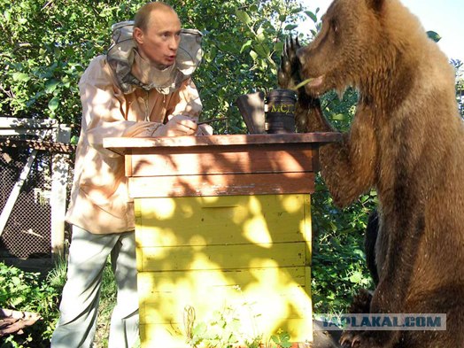 Маша-а-а!Аууууу!