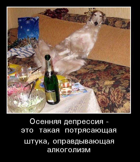 Алкопост 7.11.20