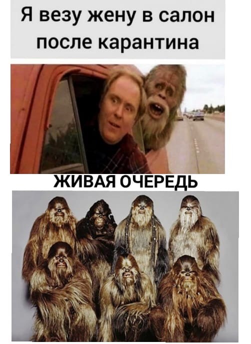 Красота - страшная сила