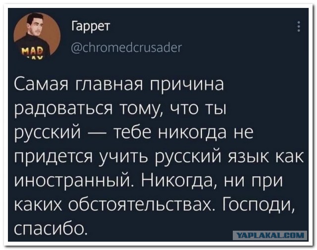 Забавные комментарии из социальных сетей (15.02.21)