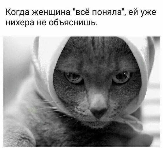 Типичные ситуации с женщинами, которые замечательно раскрывают их суть
