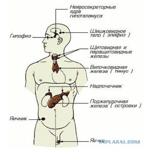 Чем современная девушка отличается от проститутки?