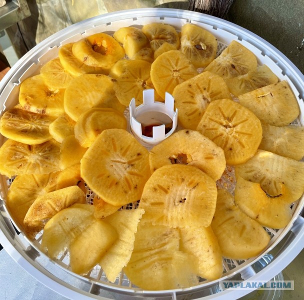 Кулинарная общалка
