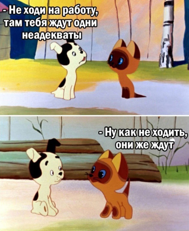 Так себе картинки 24.02.22
