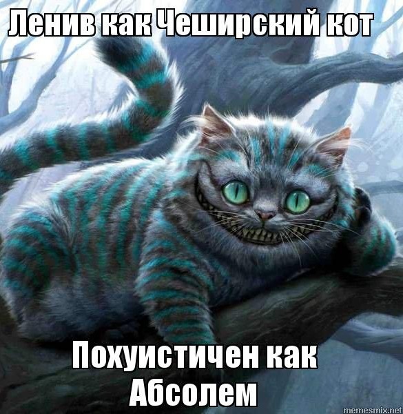 Пока не закончился котовторник...