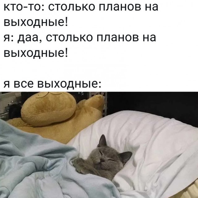 Картинки и мемы для настроения - 27