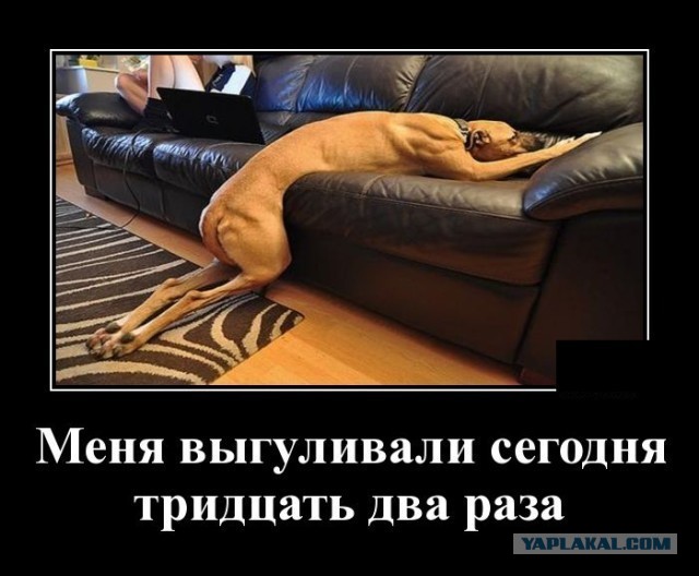 Картинки с надписями 18.08.22
