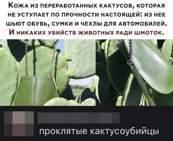Так себе картинки 17.12.22