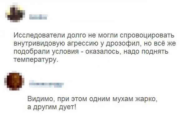 Бабаяны подвезли