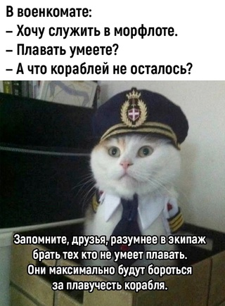 Так себе картинки 24.07.23