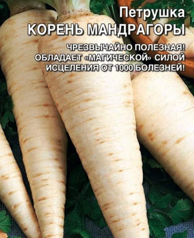 Помогите опознать штуковину