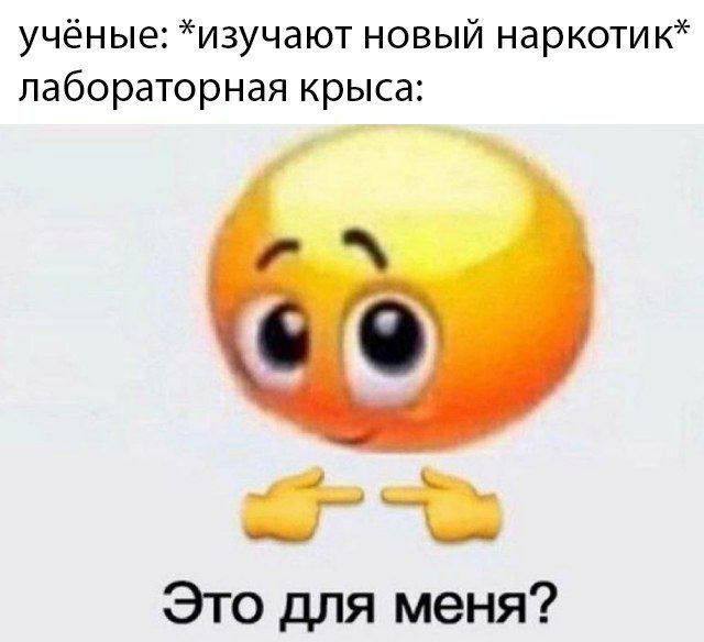 Всего понемногу. От 09.10.23