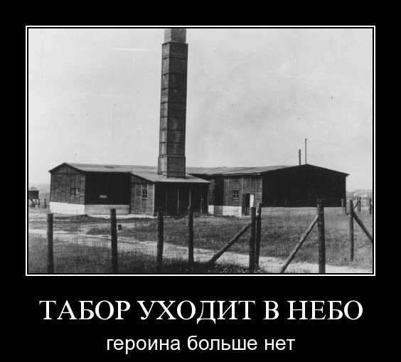Видео для Томми