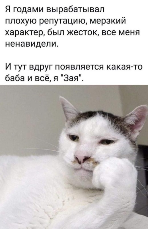 Так себе картинки 21.02.24
