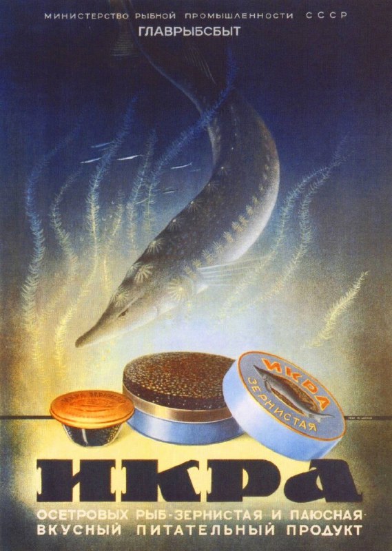 Фотографии из прошлого нашей страны – 60
