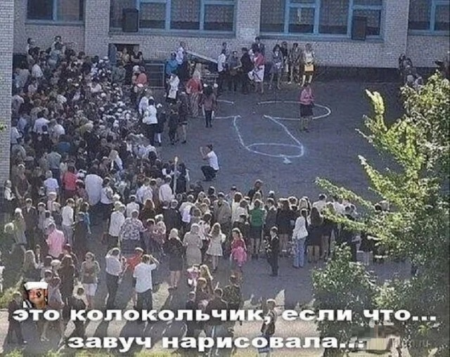 Так себе картинки 29.11.24