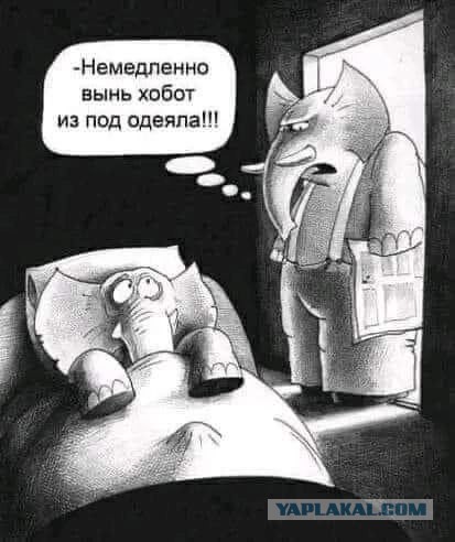 Так себе картинки 30.11.24